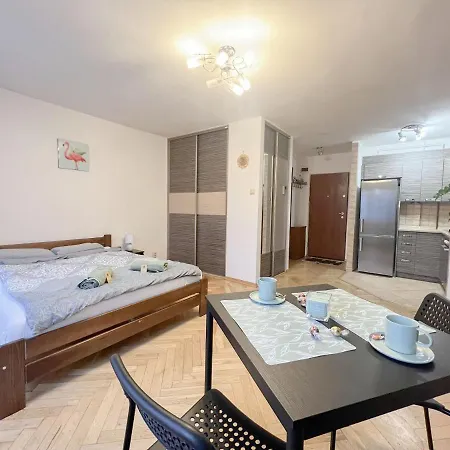 Apartment Very Center Fast Internet And Balcony Chmielna 100 Warsaw